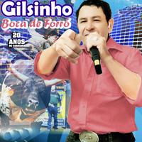Gilsinho Boca de Forró's avatar cover