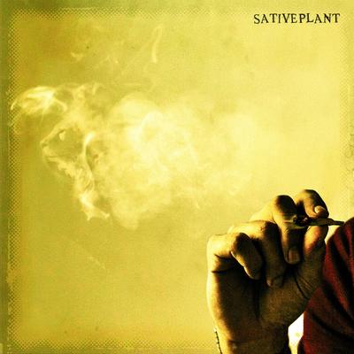 Sative Plant's cover