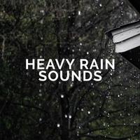 Heavy Rain Sounds's avatar cover