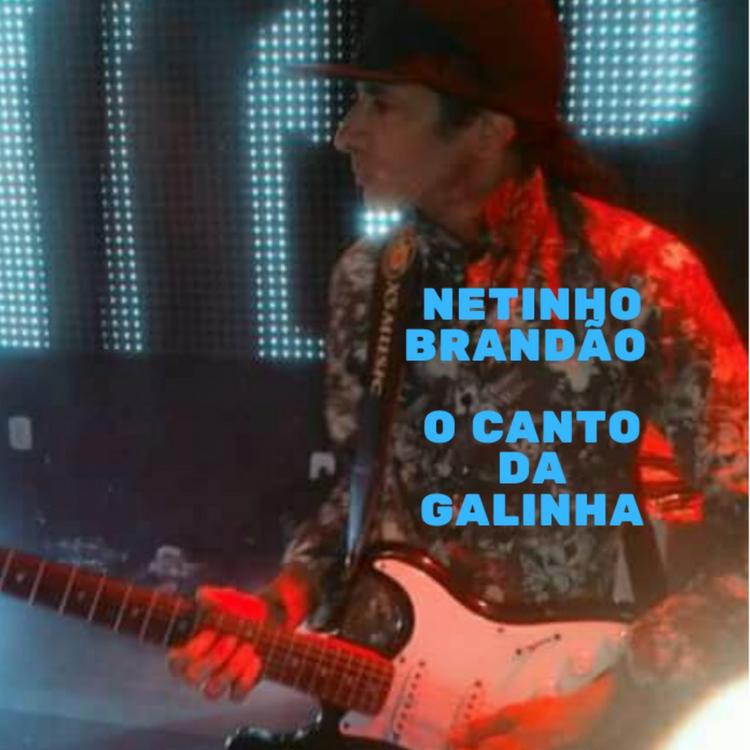 Netinho Brandão's avatar image