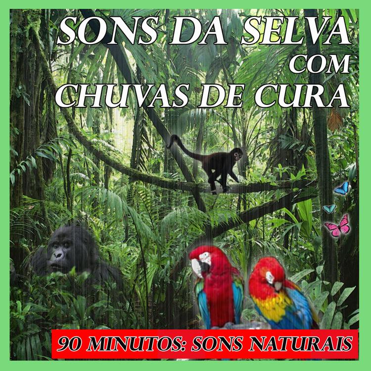 Sons Naturais's avatar image