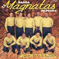 Magnatas do Samba's avatar cover