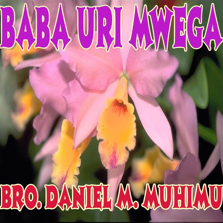 Bro Daniel N. Muhimu's avatar image