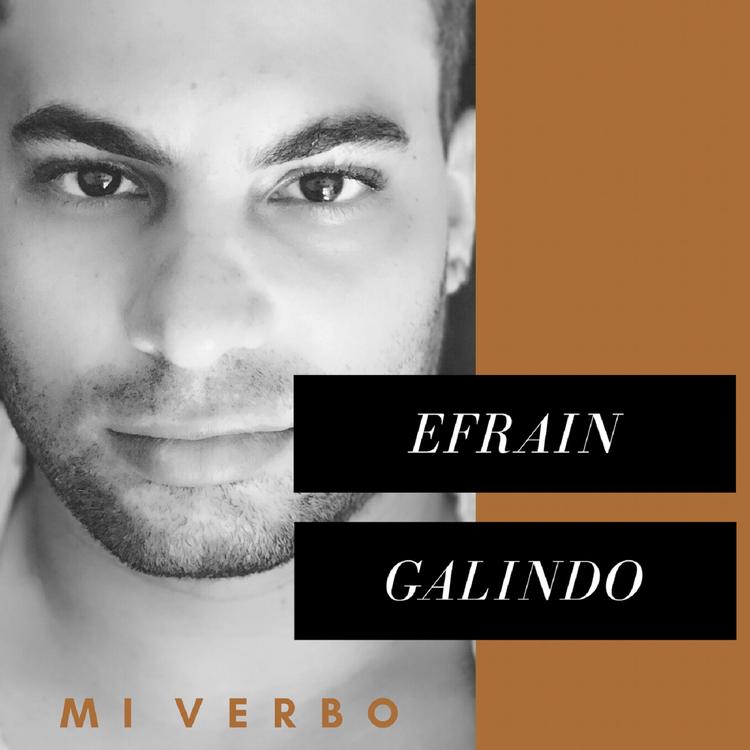 Efraín Galindo's avatar image