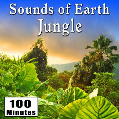 Active Daytime Jungle Sounds Including Birds, Insects and Animals (Jungle Ambience Sound Effects)'s cover