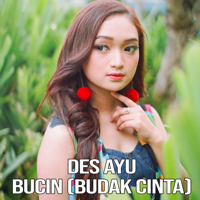 Des Ayu's avatar image