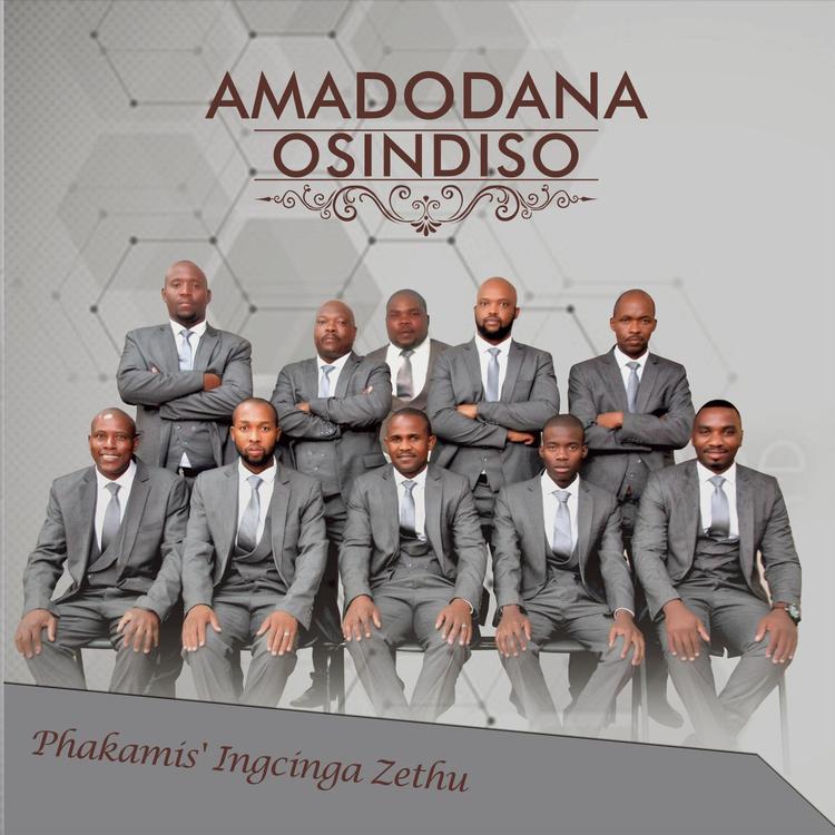 Amadodana Osindiso's avatar image