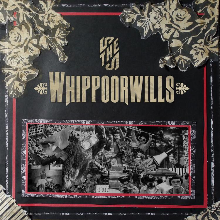 The Whippoorwills's avatar image