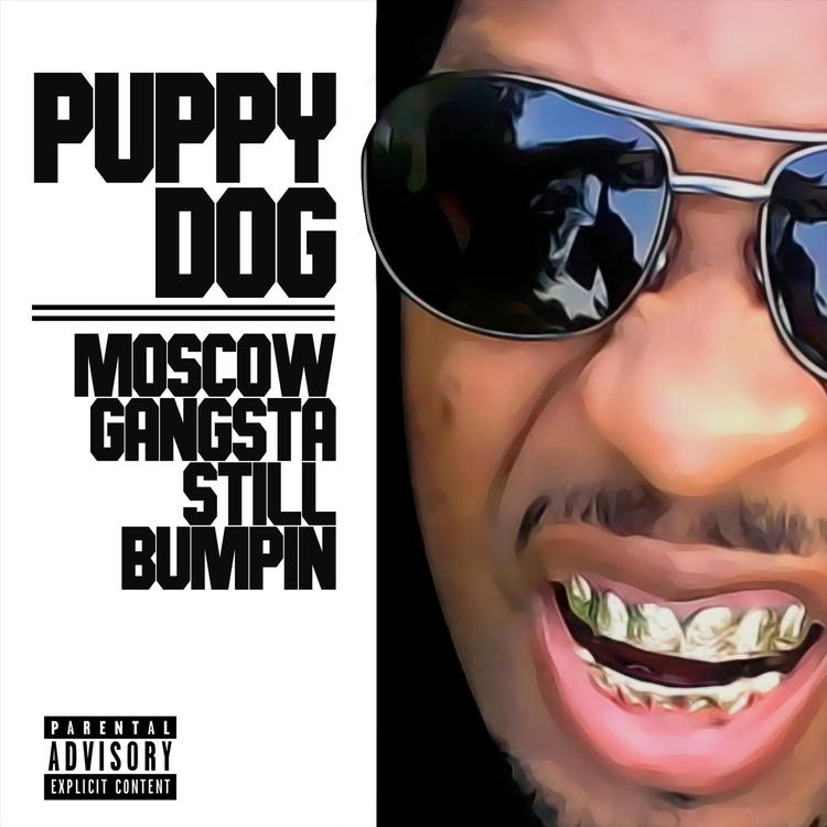 Puppy Dog's avatar image