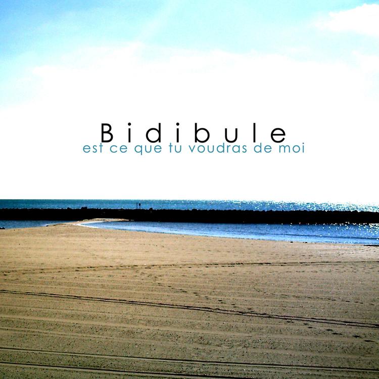 Bidibule's avatar image