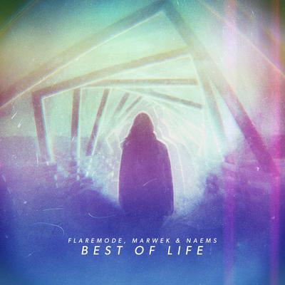 Best of Life (Radio Edit) By Flaremode , Marwek, NAEMS, Nathan Brumley's cover