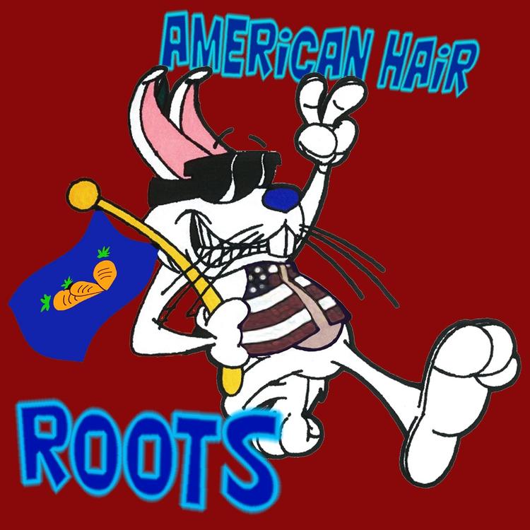 American Hair's avatar image