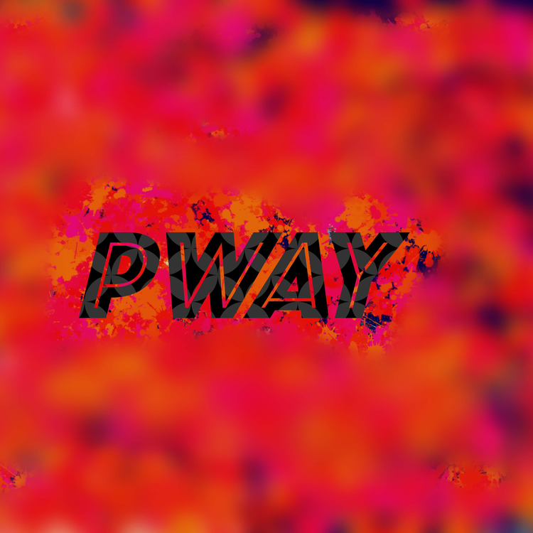 P W A Y's avatar image