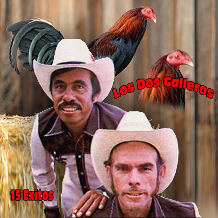 Los Dos Galleros's avatar image