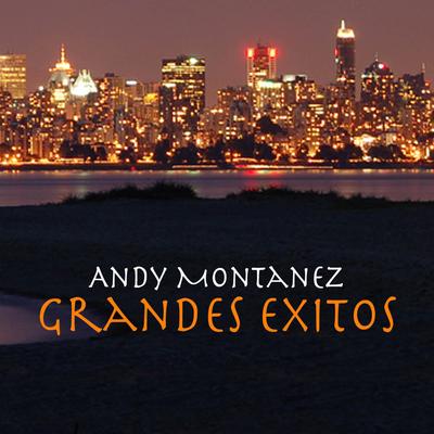 Grandes Exitos's cover