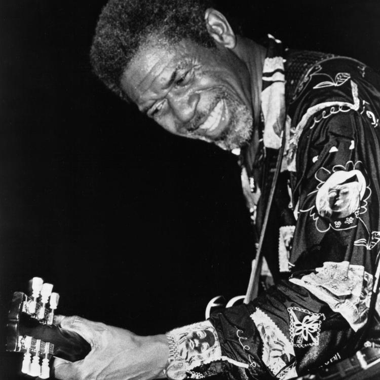 Luther Allison's avatar image