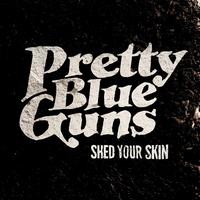 Pretty Blue Guns's avatar cover