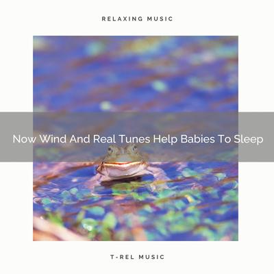 Now Wind And Real Tunes Induce Sleep By Baby Sleep Music's cover