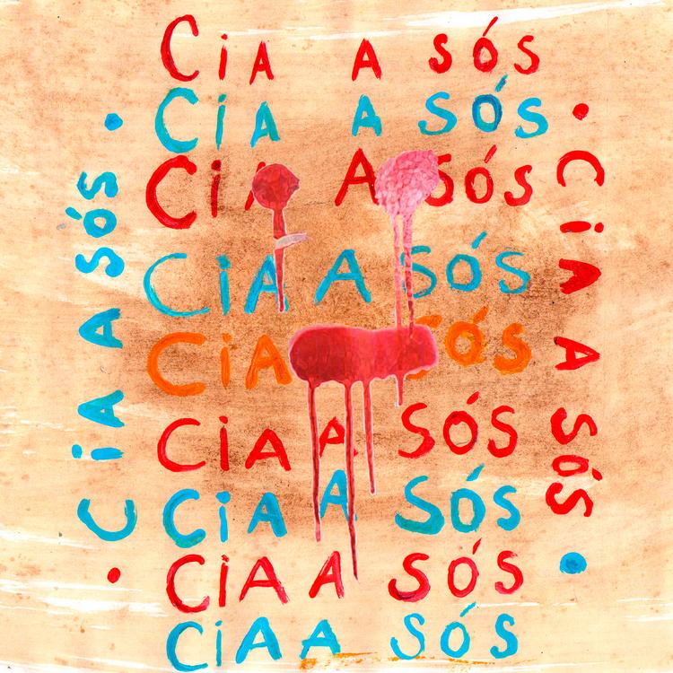 cia a sós's avatar image