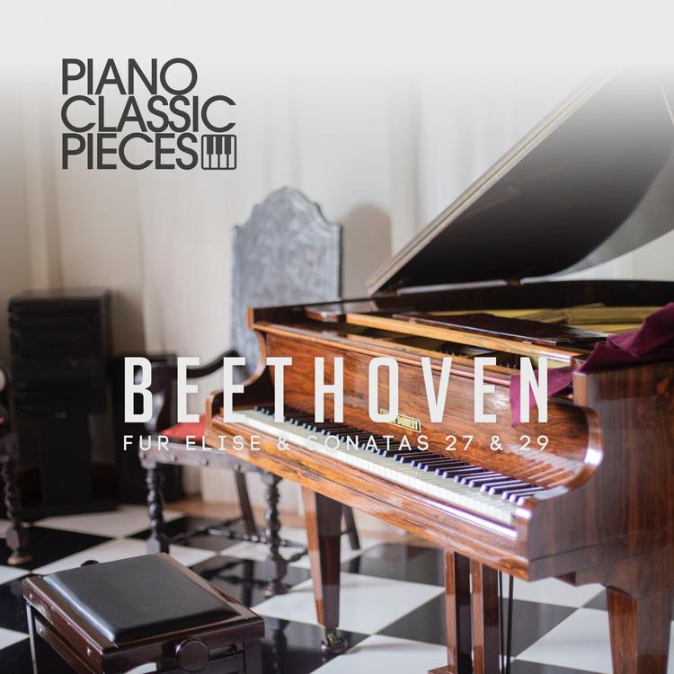 Piano Classic Pieces's avatar image