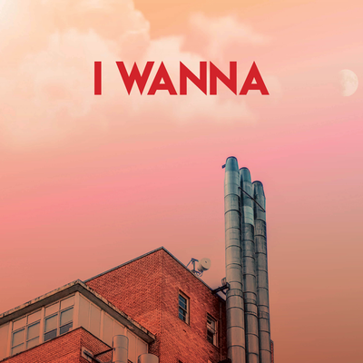 I Wanna's cover