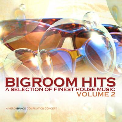 Bigroom Hits, Vol. 2's cover