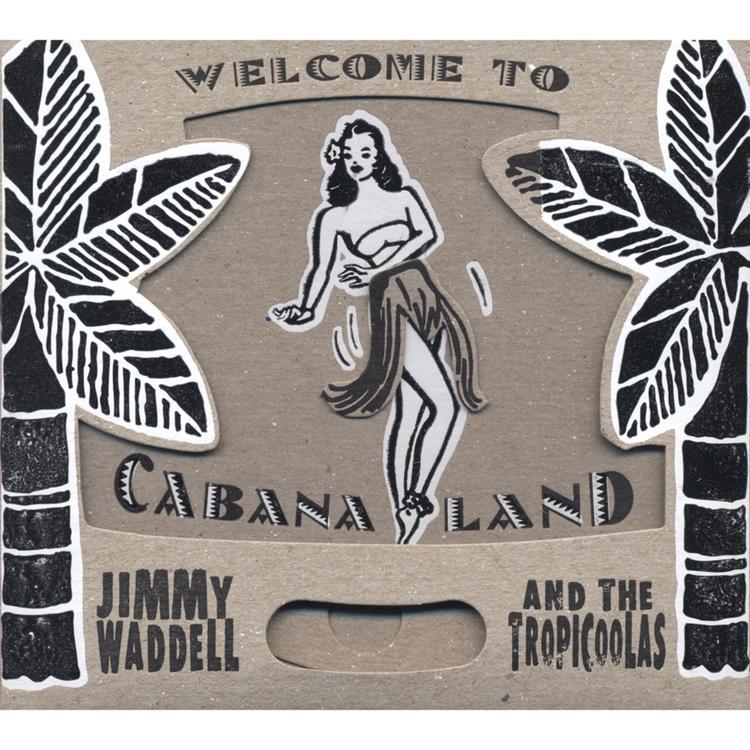 Jimmy Waddell and the Tropicoolas's avatar image