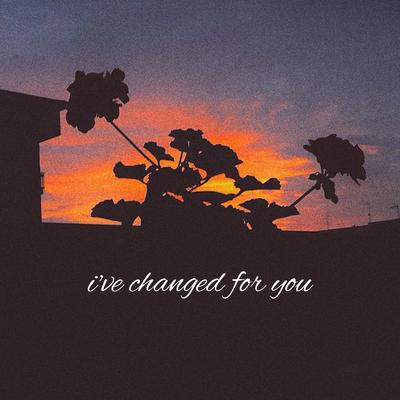 I've Changed for You's cover