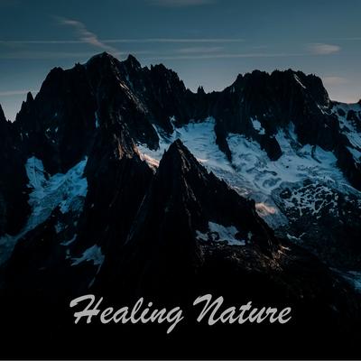 Healing Nature By Nature Sounds's cover