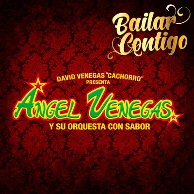 Bailar Contigo (David Venegas "Cachorro" Presenta)'s cover