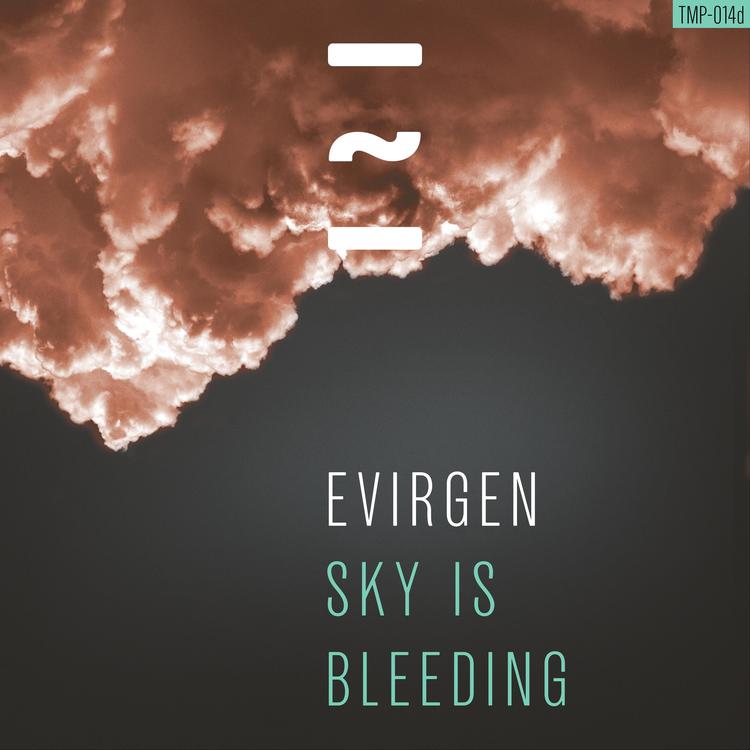 Evirgen's avatar image