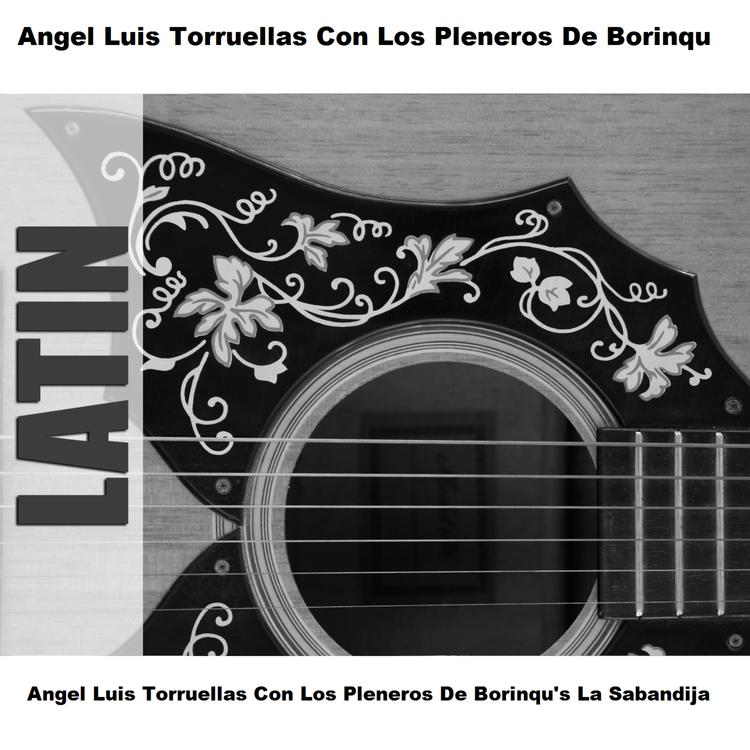 Angel Luis Torruellas Con Los Pleneros De Borinqu's avatar image