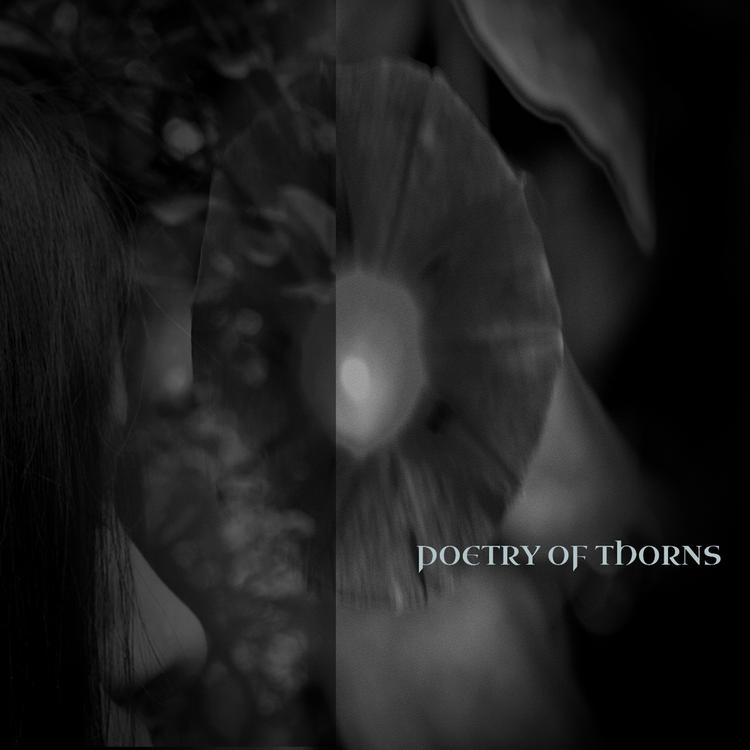 Poetry Of Thorns's avatar image