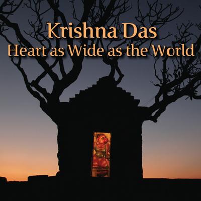 By Your Grace/Jai Gurudev By Krishna Das's cover