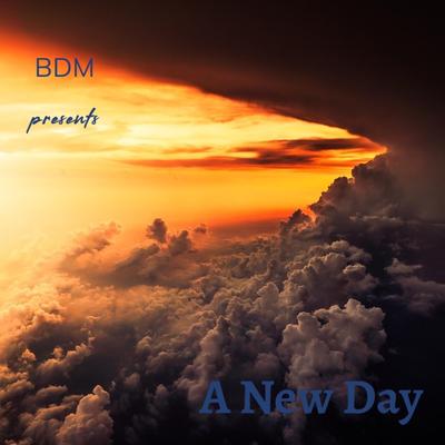 BDM's cover