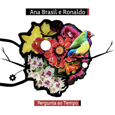 Ana Brasil e Ronaldo's cover