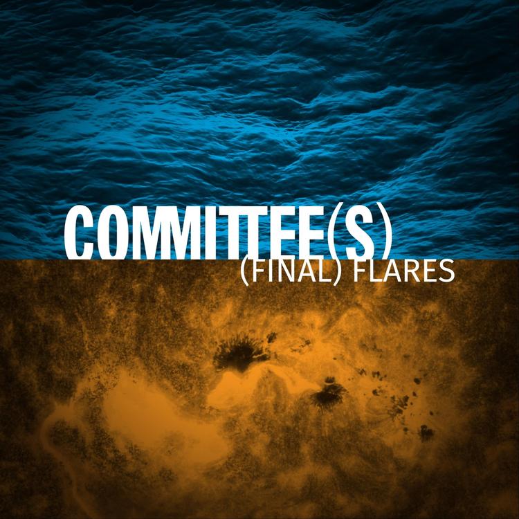 Committee(s)'s avatar image