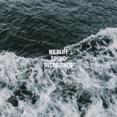 Wildlife Sound Recordings's cover