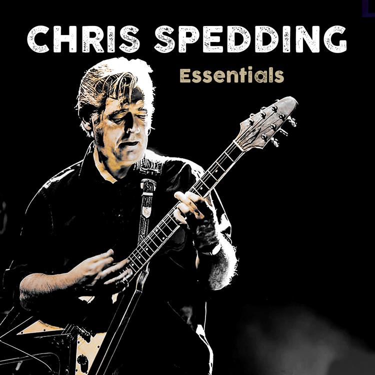 Chris Spedding's avatar image