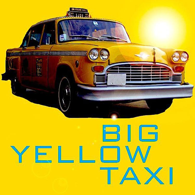 The Big Yellow Taxis's avatar image