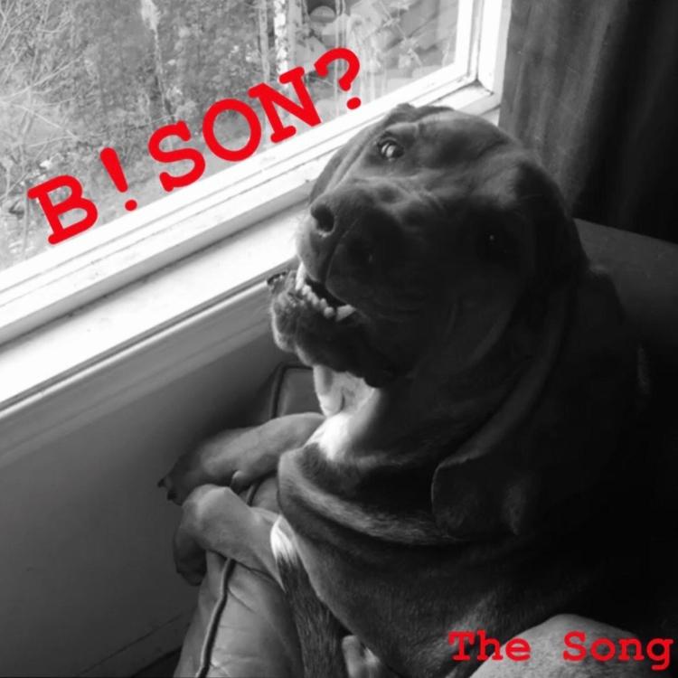 B!son?'s avatar image