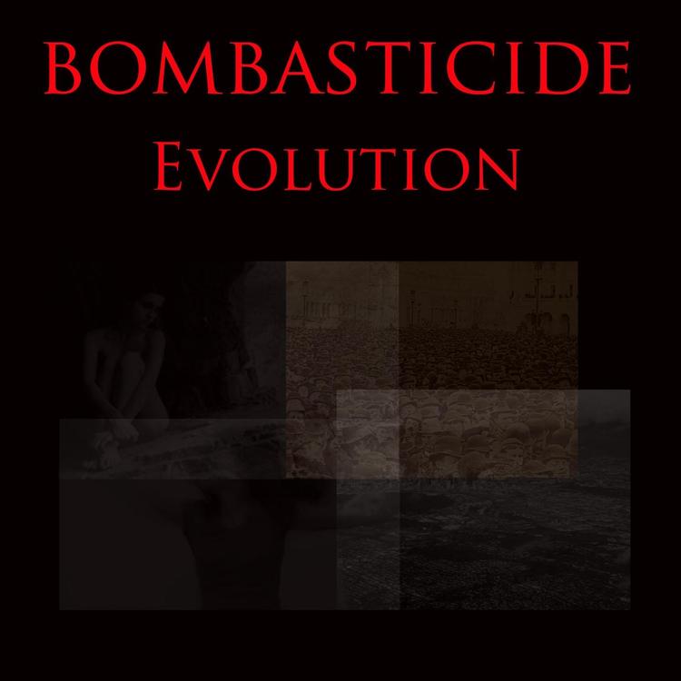 Bombasticide's avatar image