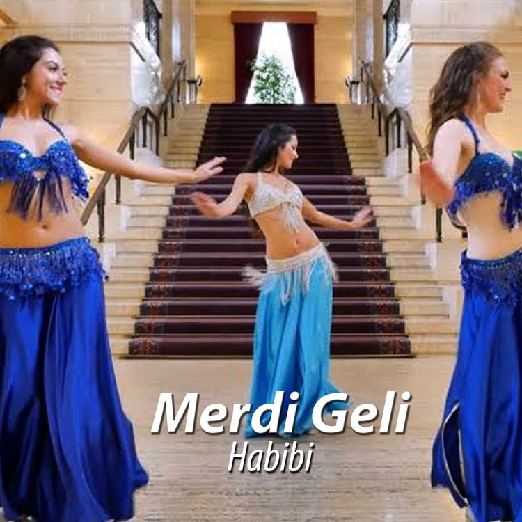 Merdi Geli's avatar image