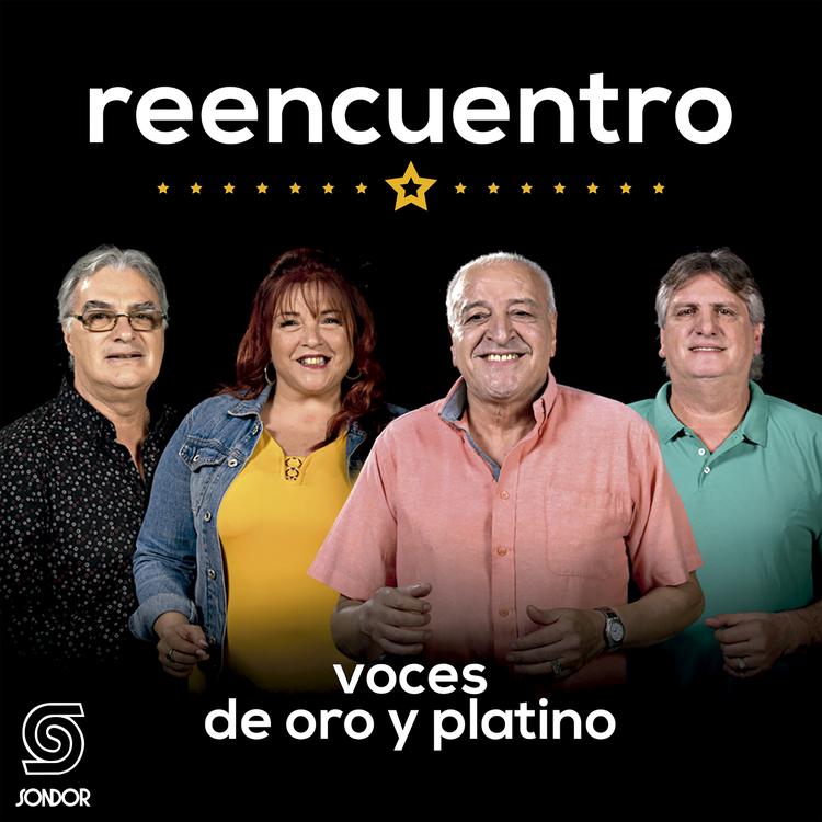 Voces de Oro y Platino's avatar image