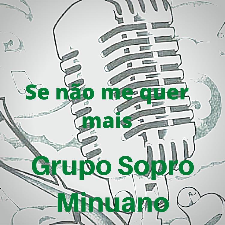 Grupo Sopro Minuano's avatar image