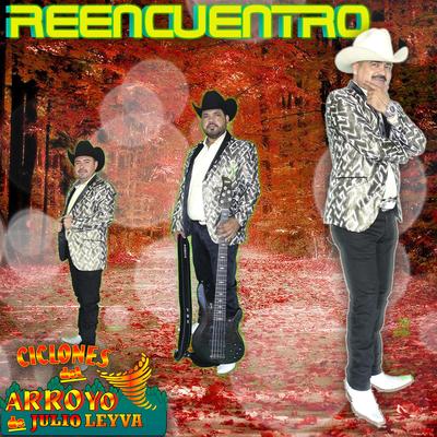 Reencuentro's cover