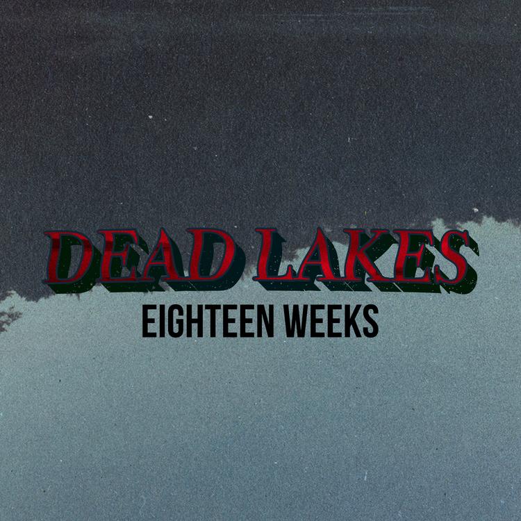 Dead Lakes's avatar image