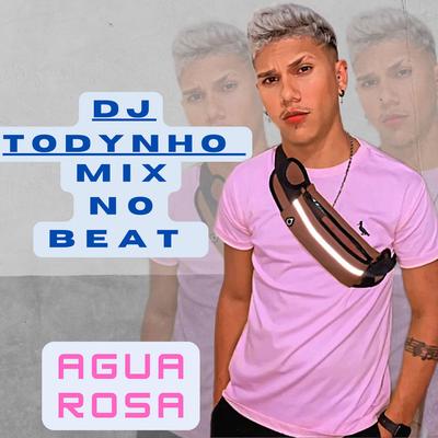 dj todynho mix no beat's cover