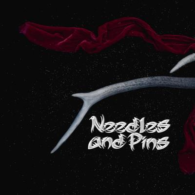 Needles and Pins's cover