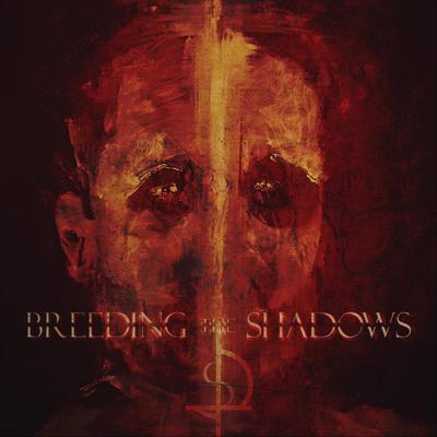 Seizure By Breeding The Shadows's cover